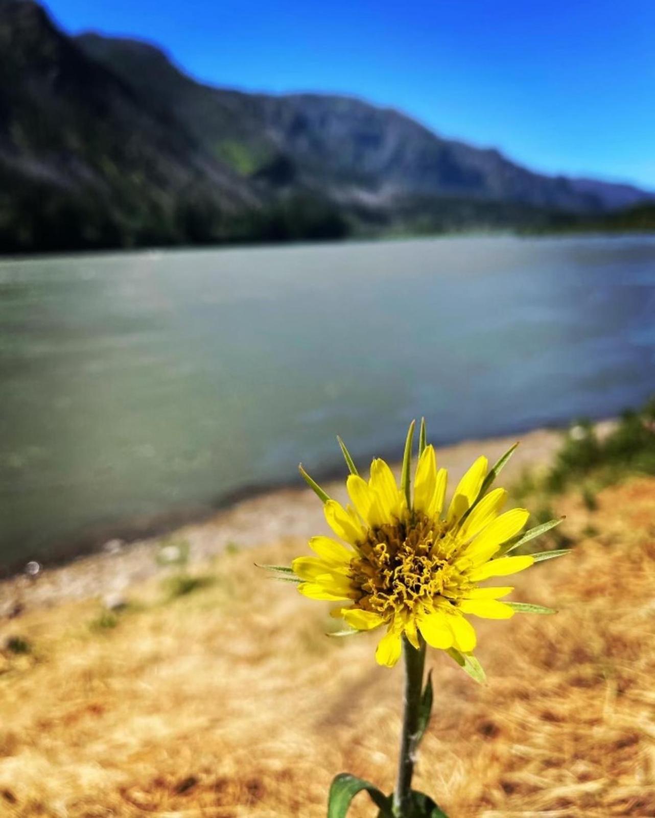 Gorgeous Gateway To The Columbia River Gorge Washougal Экстерьер фото