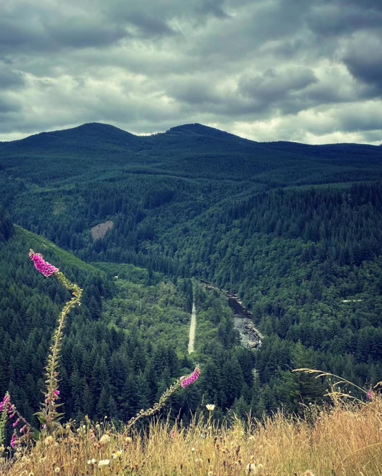 Gorgeous Gateway To The Columbia River Gorge Washougal Экстерьер фото