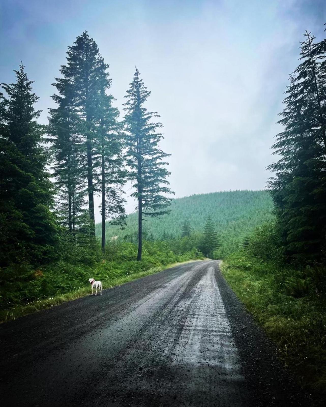 Gorgeous Gateway To The Columbia River Gorge Washougal Экстерьер фото