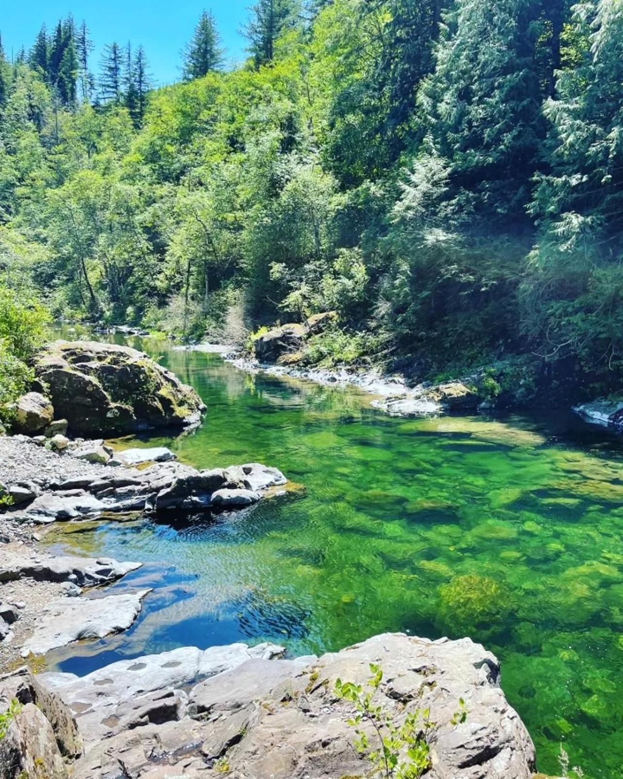 Gorgeous Gateway To The Columbia River Gorge Washougal Экстерьер фото
