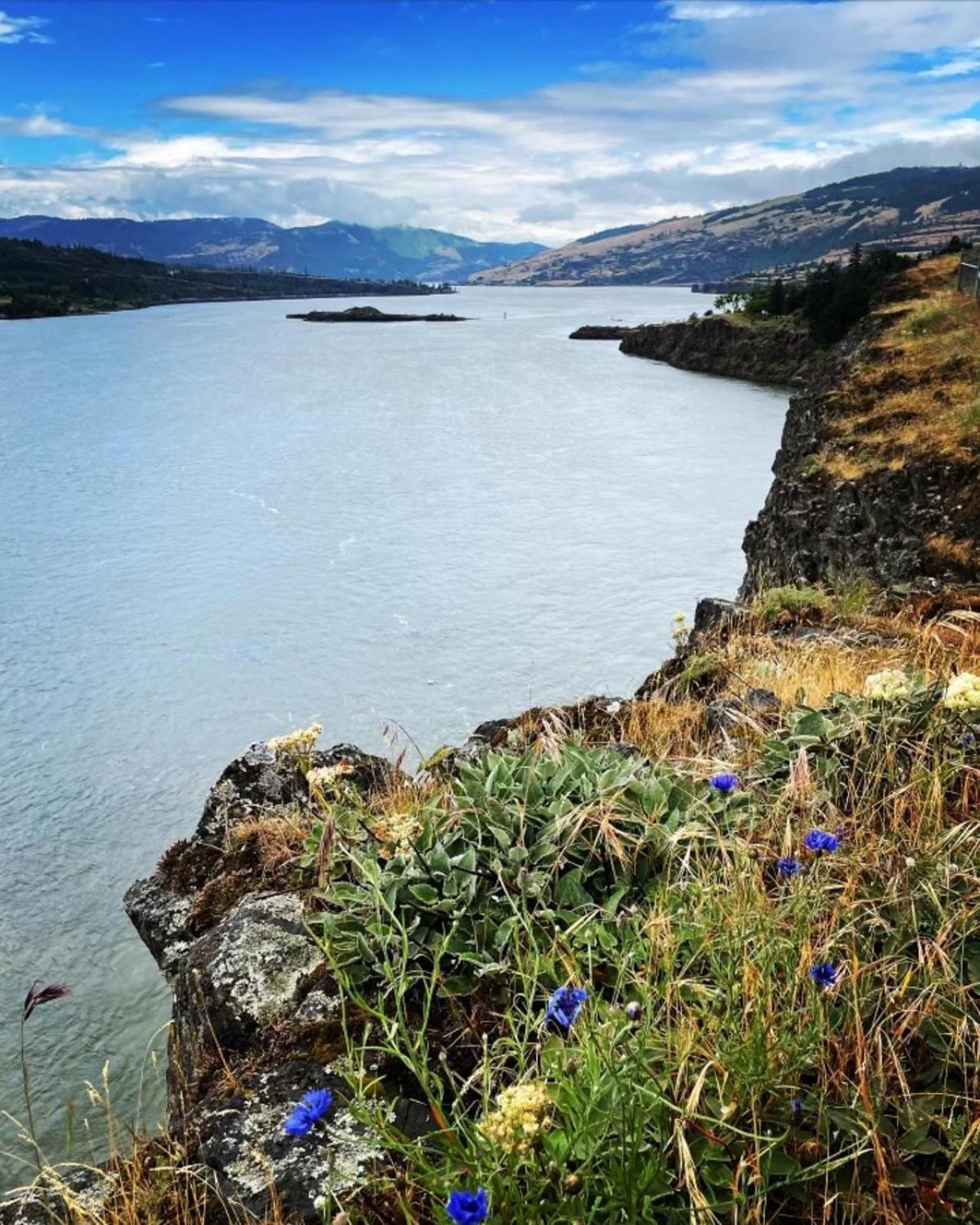 Gorgeous Gateway To The Columbia River Gorge Washougal Экстерьер фото